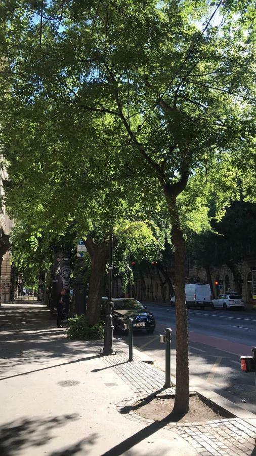 Diamond Apartman Near To Basilica Budapest Eksteriør bilde